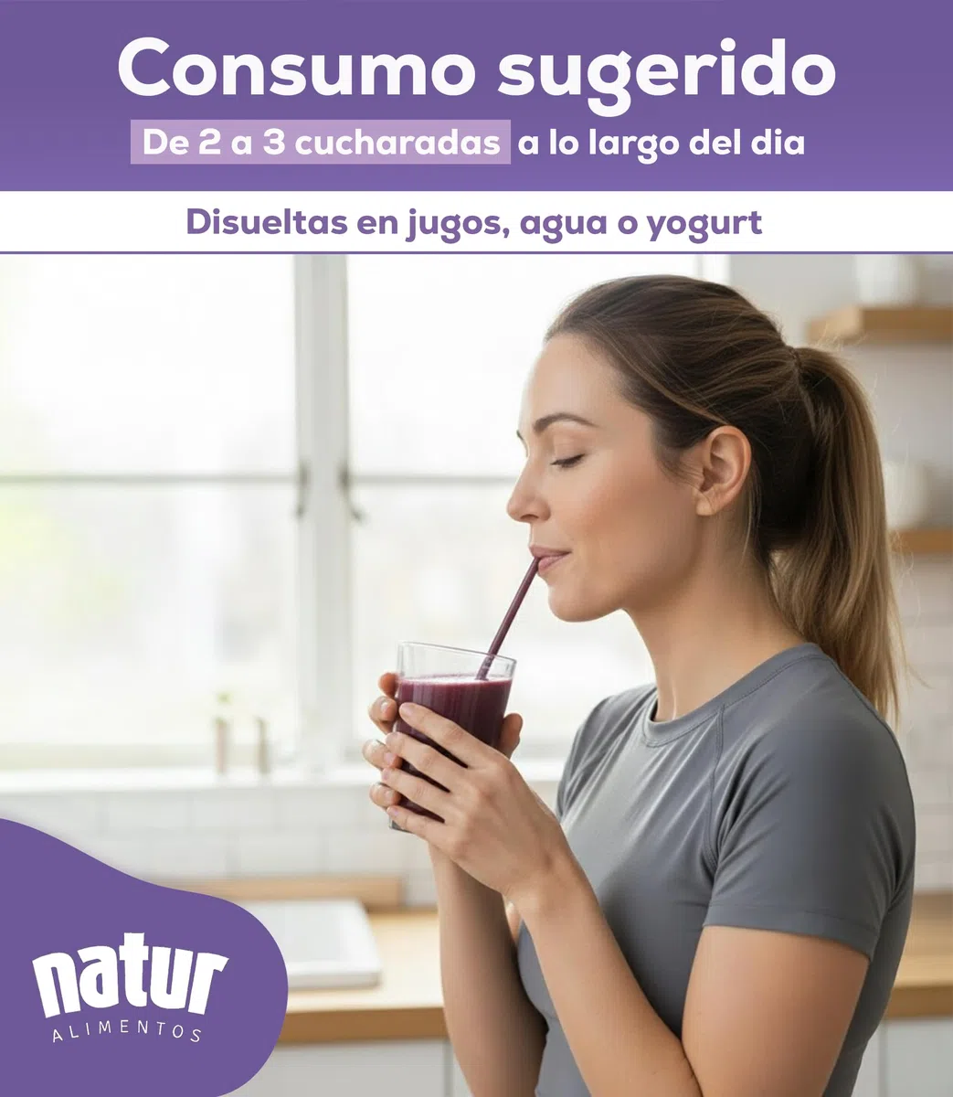 Natur Acai en Polvo Liofilizado de 500g Superalimento Rico en Antioxidantes Vitaminas y Minerales Bayas Berry Powder Apto para Veganos Refuerza tus Defensas Aporta Dosis de Energía