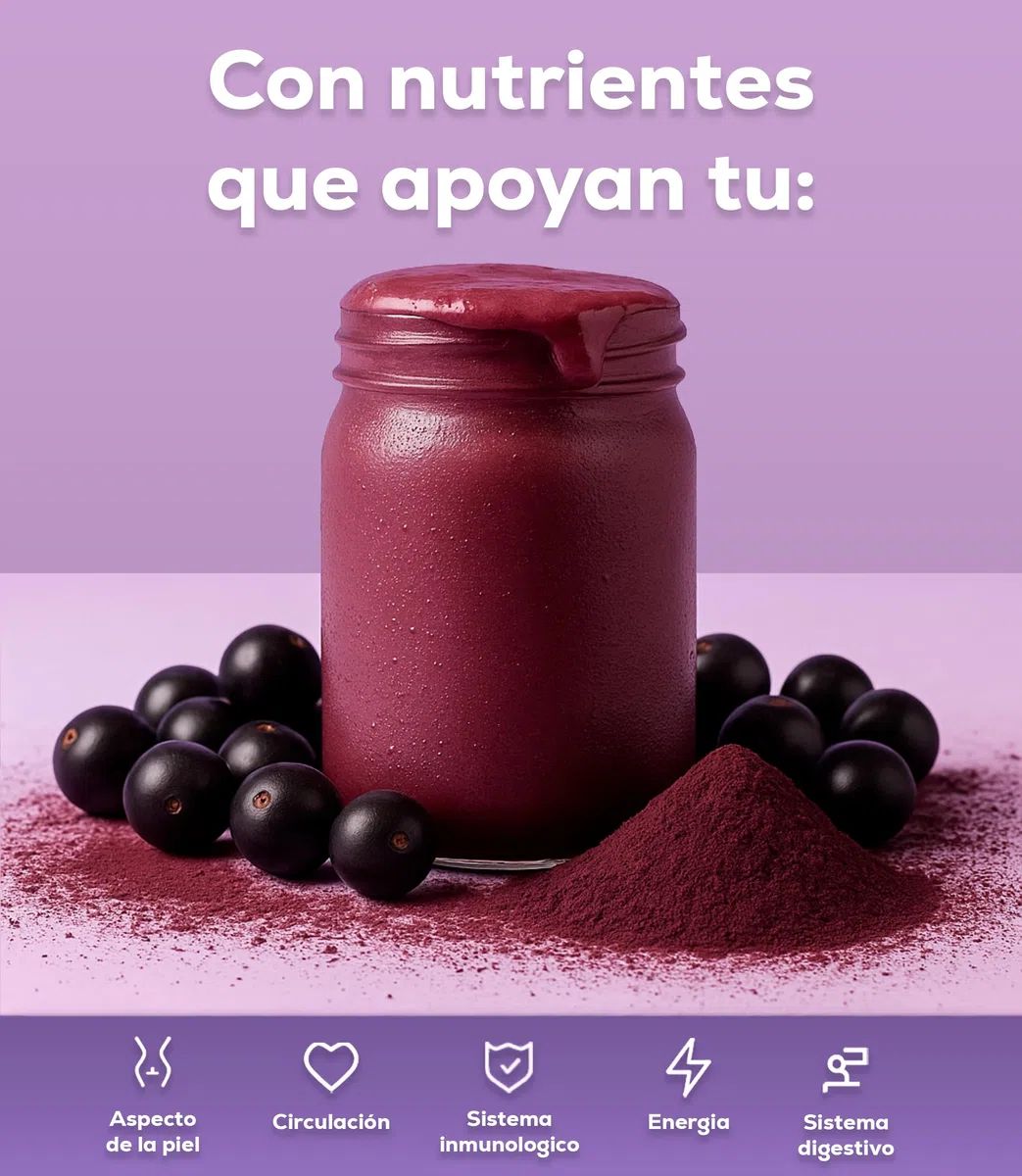 Natur Acai en Polvo Liofilizado de 500g Superalimento Rico en Antioxidantes Vitaminas y Minerales Bayas Berry Powder Apto para Veganos Refuerza tus Defensas Aporta Dosis de Energía