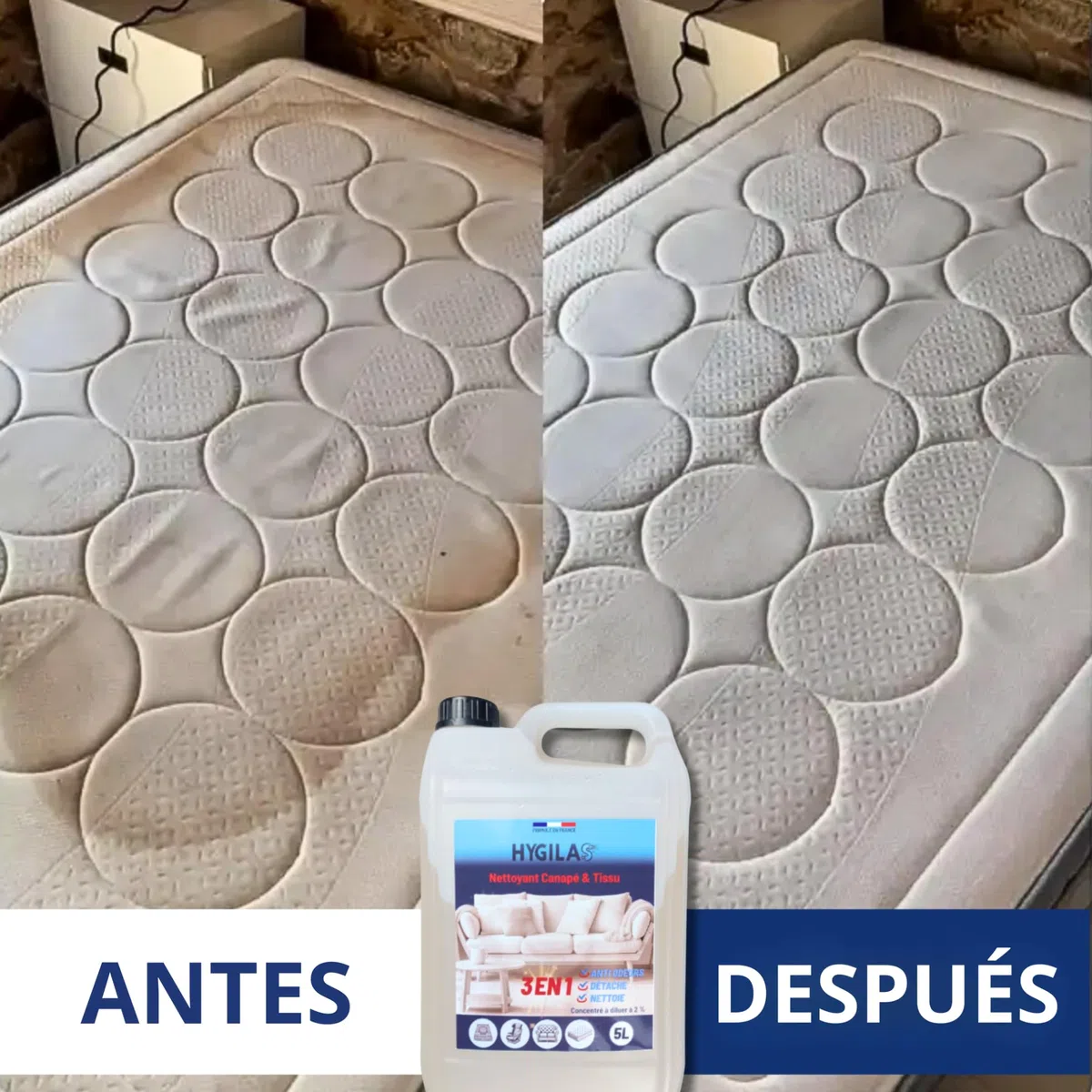 HYGILAS Limpiador Tapicerías Sofá 5L Profesional | Ultra Concentrado (500L) | Elimina Manchas y Olores | Compatible Inyector Extractor, Alfombras y Asientos Coche