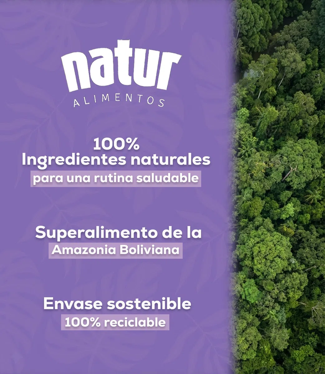 Natur Acai en Polvo Liofilizado de 500g Superalimento Rico en Antioxidantes Vitaminas y Minerales Bayas Berry Powder Apto para Veganos Refuerza tus Defensas Aporta Dosis de Energía